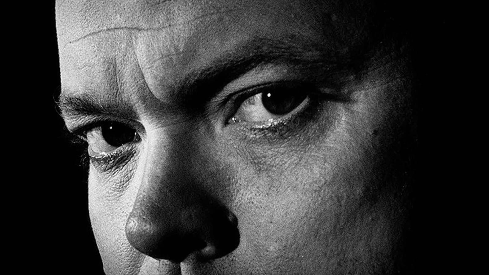 The Eyes of Orson Welles