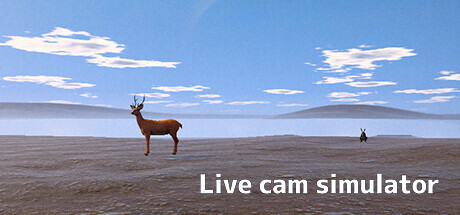 Live Cam Simulator