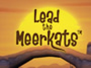 Lead the Meerkats