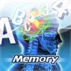 Brain Fever Memory