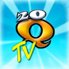 20Q: TV