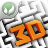 3D Maze (2009)