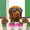 Dogs Puzzle HD