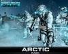 Tom Clancy's Ghost Recon Online - The Arctic Pack