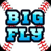 Big Fly Baseball