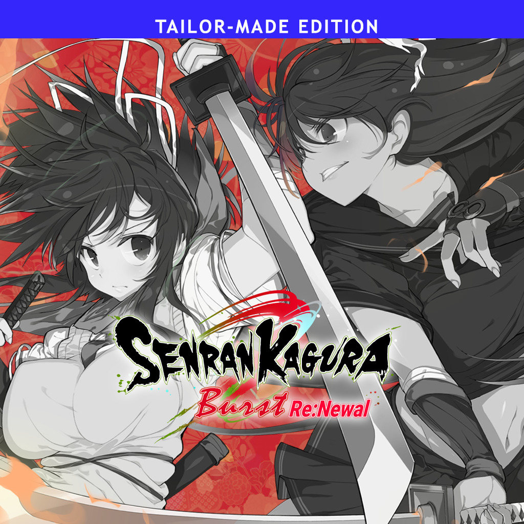 Review] Senran Kagura Burst (3DS)
