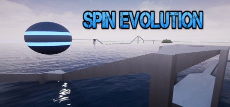 Spin Evolution