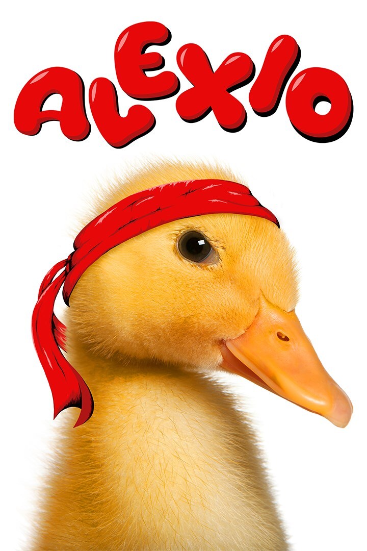 Duck Season - Metacritic