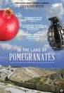 In the Land of Pomegranates
