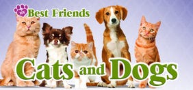 My Best Friends - Cats And Dogs